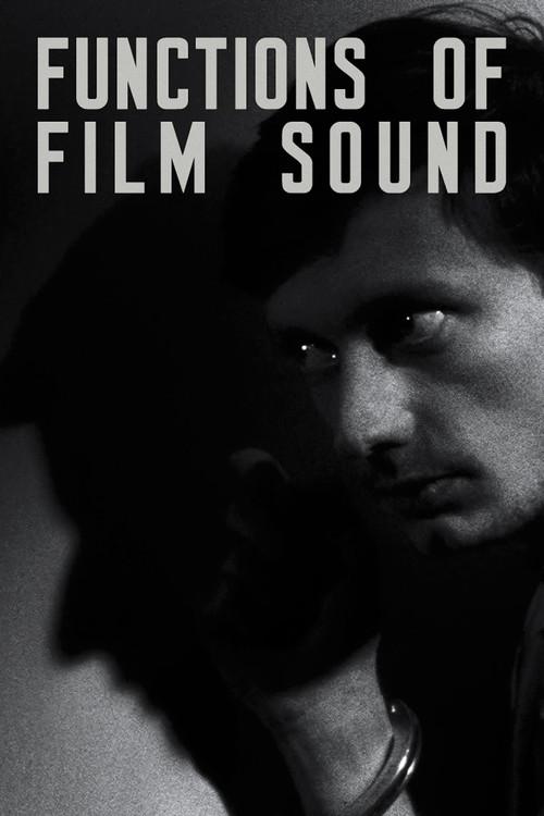 Functions of Film Sound backdrop