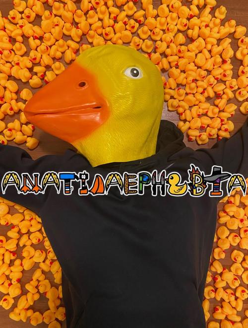 Anatidaephobia backdrop