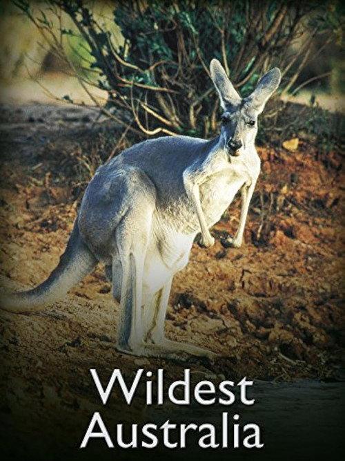 Wildest Australia backdrop
