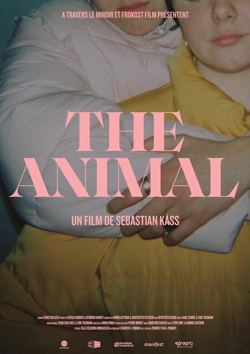 The Animal backdrop