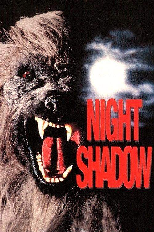 Night Shadow backdrop