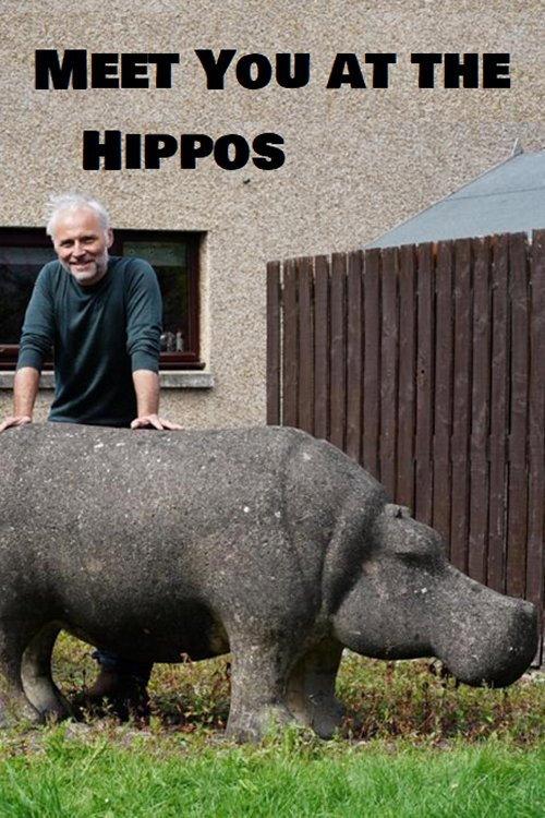 Meet You at the Hippos backdrop
