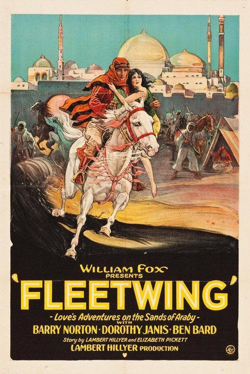 Fleetwing backdrop