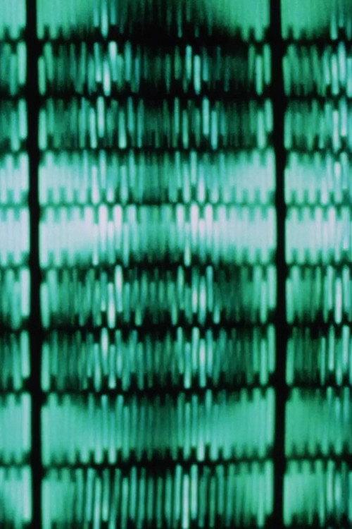 Kinetics backdrop
