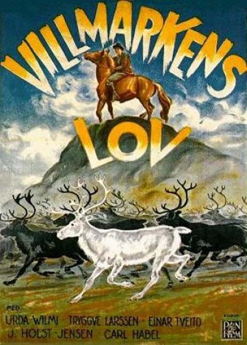 Villmarkens lov backdrop