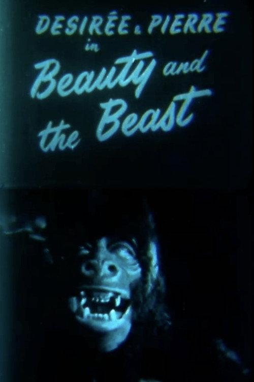 Beauty and the Beast backdrop