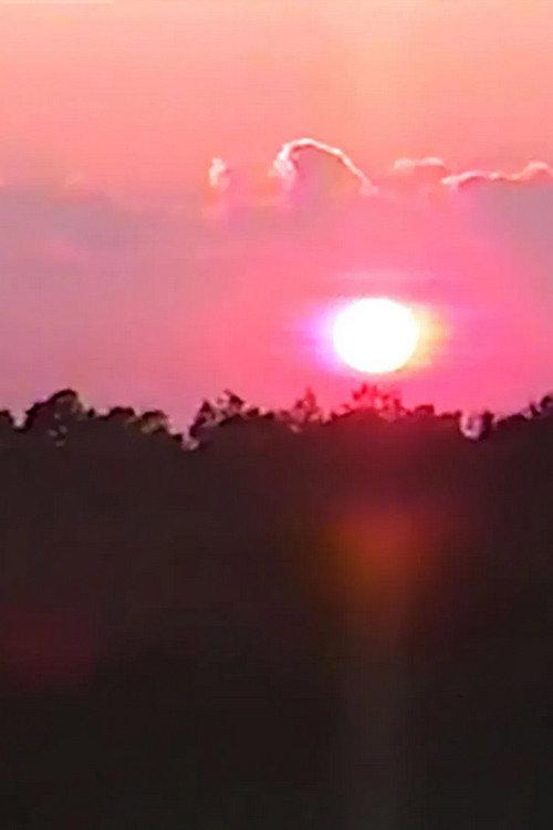 Daybreak backdrop