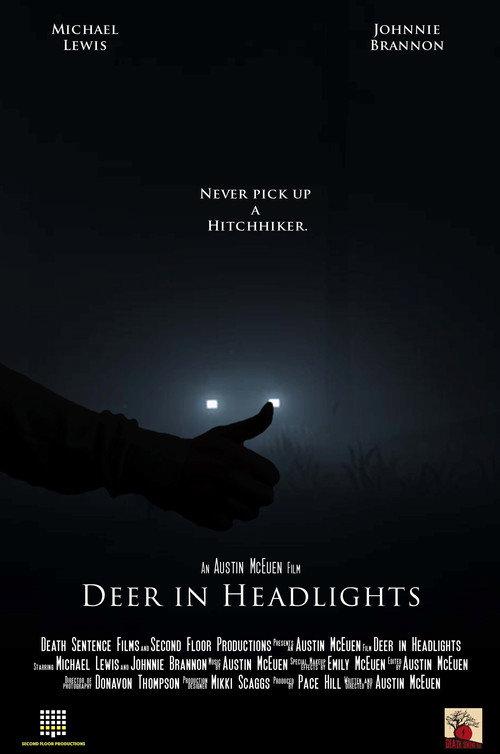 Deer in Headlights backdrop