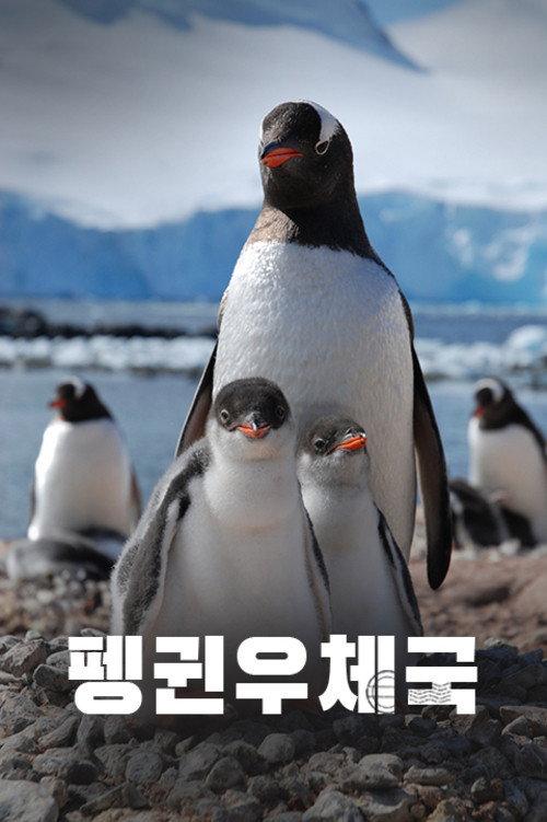 Penguin Post Office backdrop