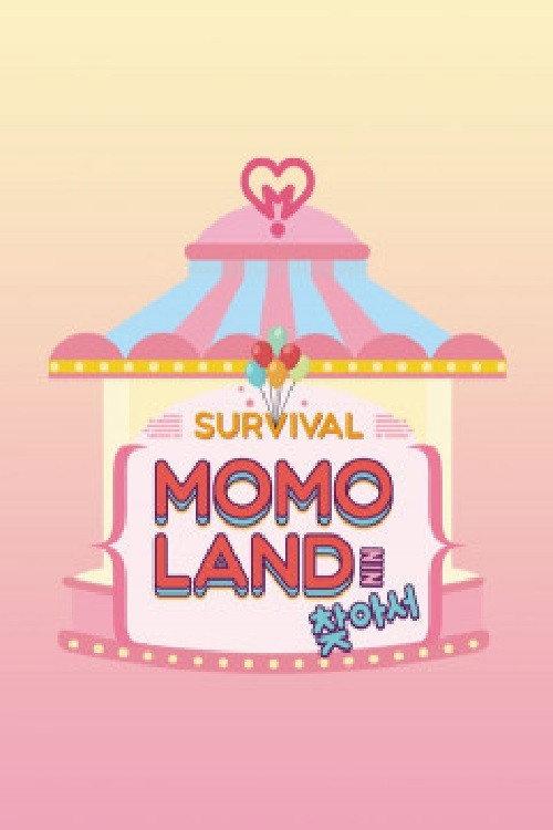 Finding Momoland backdrop
