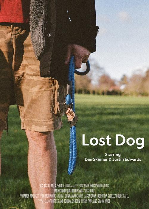 Lost Dog backdrop