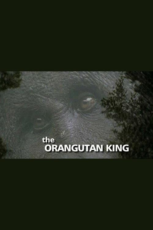 The Orangutan King backdrop