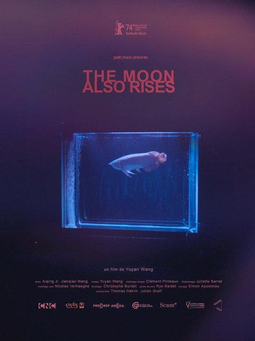 The Moon Also Rises backdrop