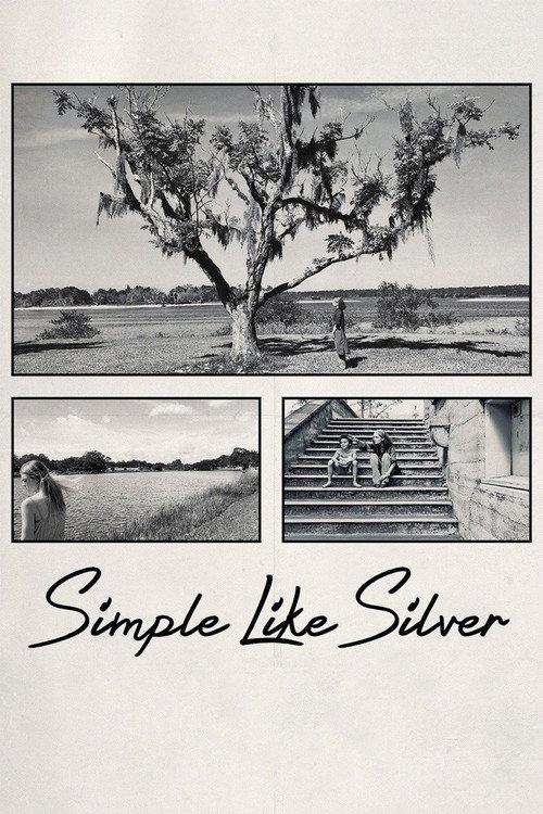 Simple Like Silver backdrop