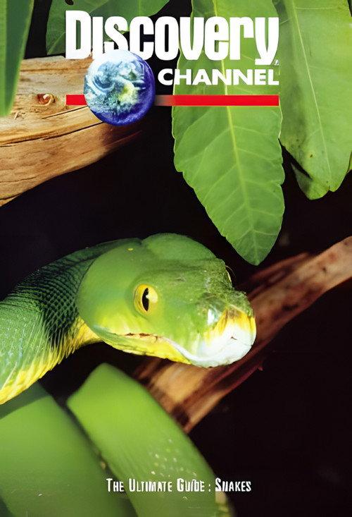 The Ultimate Guide: Snakes backdrop