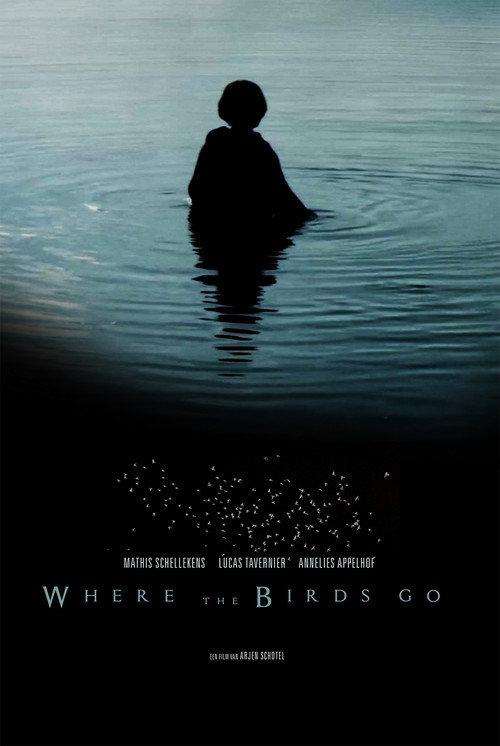 Where the birds go backdrop