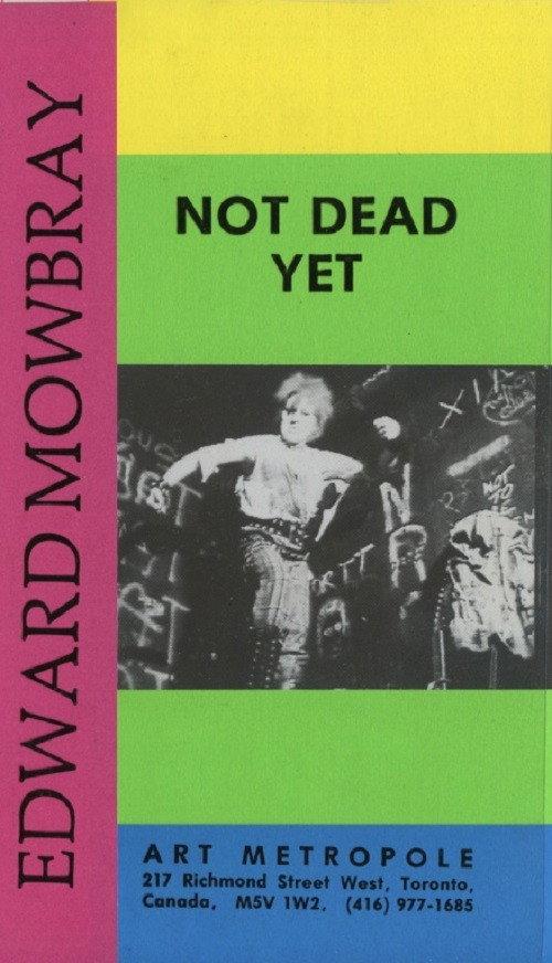 Not Dead Yet backdrop
