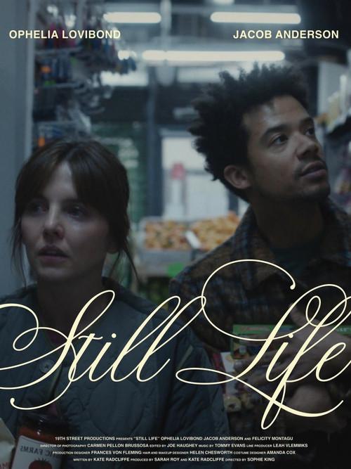 Still Life backdrop