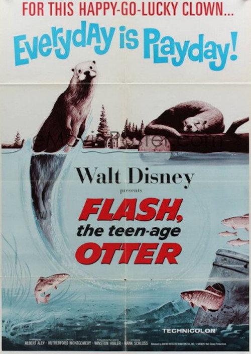 Flash, The Teenage Otter backdrop