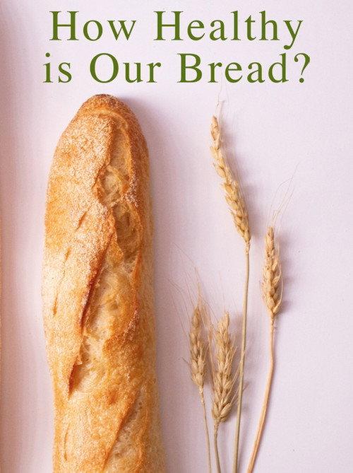 How Healthy Is Our Bread? backdrop