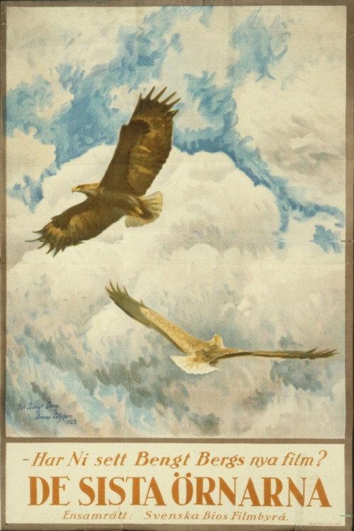 The Tale of the Last Eagles backdrop