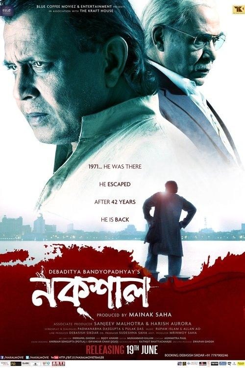 Naxal backdrop