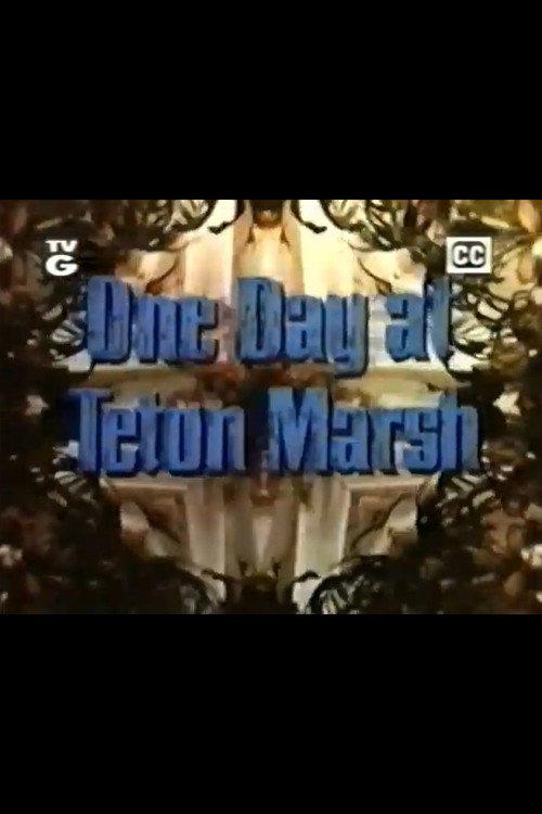 One Day at Teton Marsh backdrop
