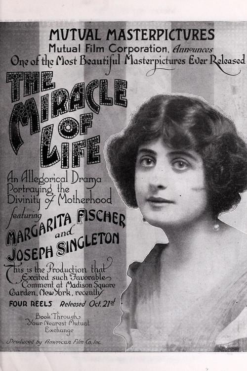 The Miracle of Life backdrop