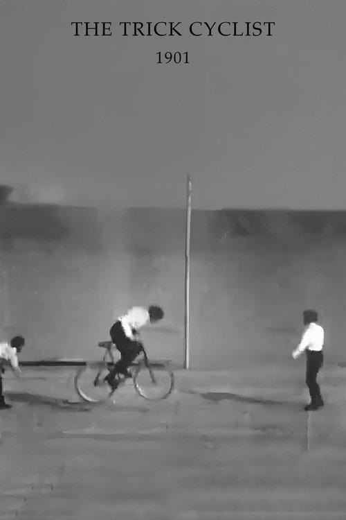 The Trick Cyclist backdrop
