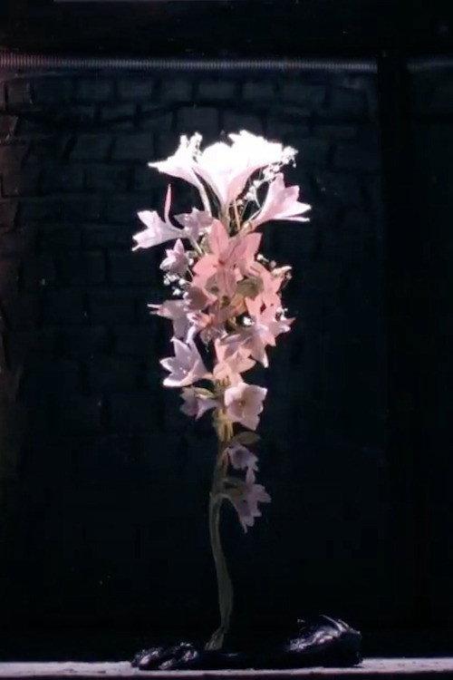 A brightening life backdrop