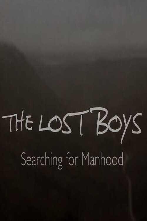 The Lost Boys: Searching for Manhood backdrop