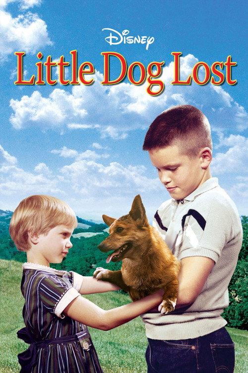 Little Dog Lost backdrop