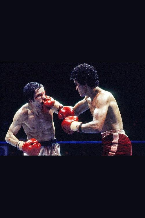 Salvador Sanchez vs. Pat Cowdell backdrop