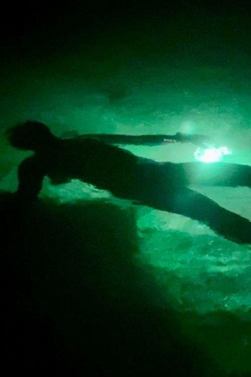 Night Snorkeling backdrop