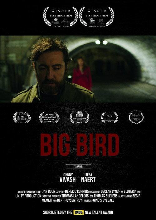 Big Bird backdrop