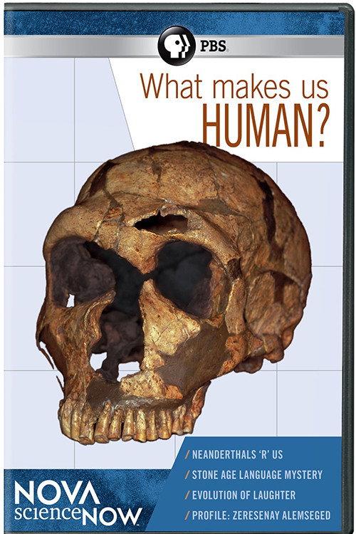What Makes Us Human? backdrop