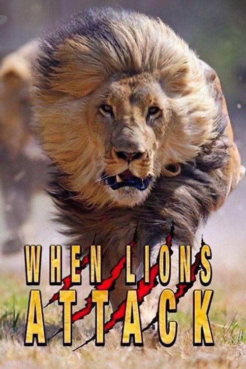 When Lions Attack backdrop
