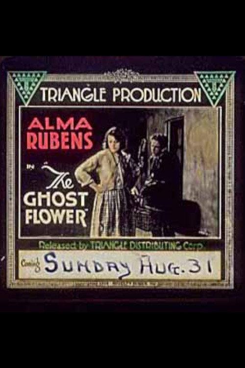 The Ghost Flower backdrop