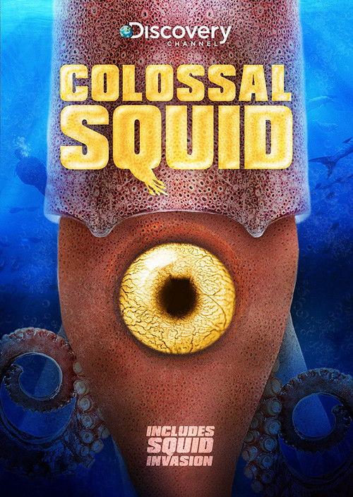 Colossal Squid backdrop