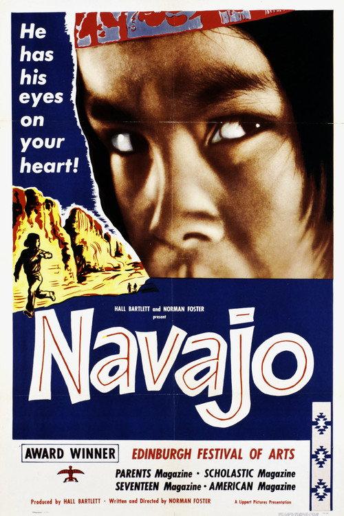 Navajo backdrop