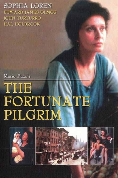 The Fortunate Pilgrim backdrop