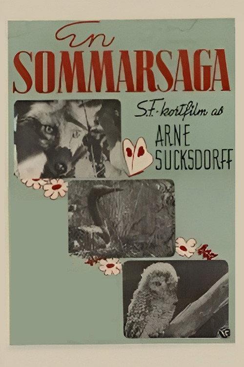 Summer's Tale backdrop