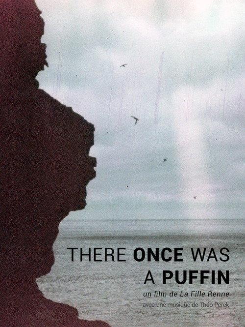 There Once was A Puffin backdrop