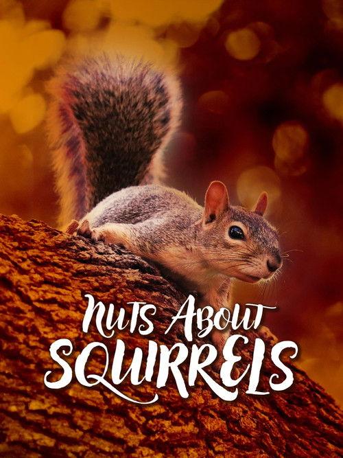 Nuts About Squirrels backdrop