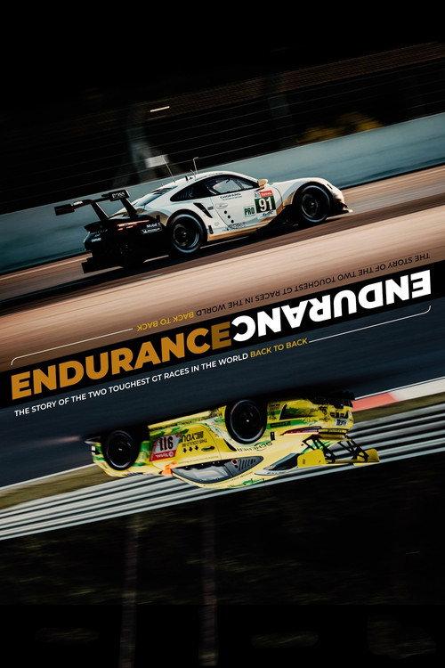 ENDURANCE backdrop