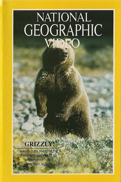 Grizzly! backdrop