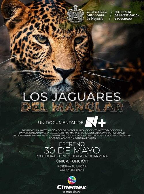 Los Jaguares del Manglar backdrop