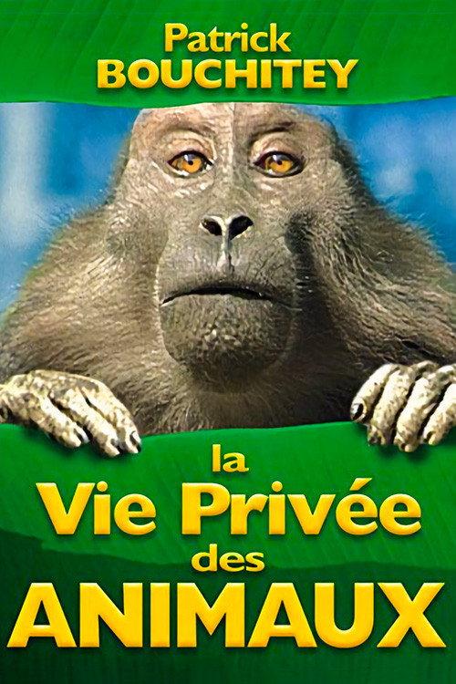 La vie privée des animaux backdrop