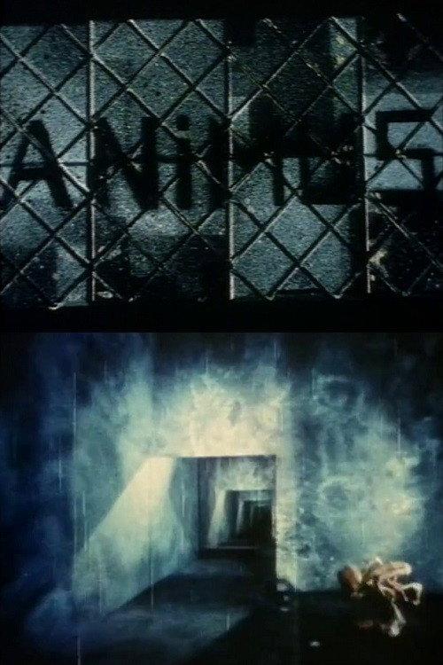 Animus backdrop