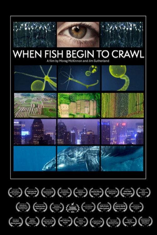 When Fish Begin to Crawl backdrop